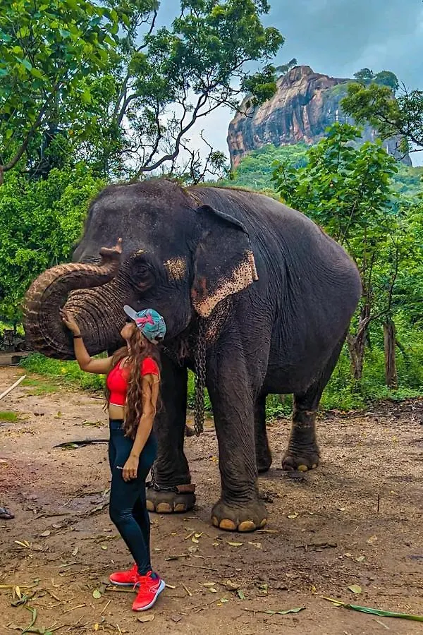 Lakmal Homestay ,10 Minutes To Sigiriya Rock 0*,  Sri Lanka